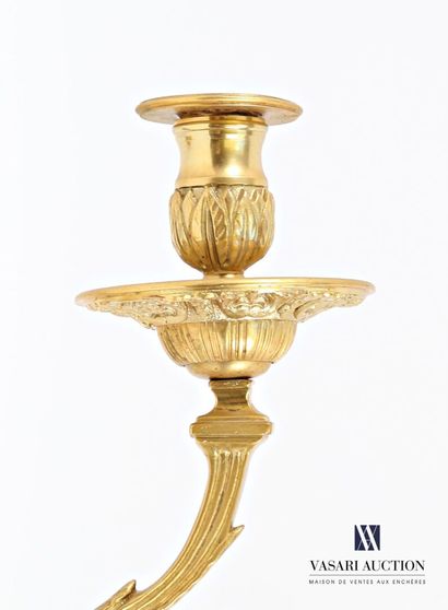 Paire d'appliques en bronze doré, la platine...