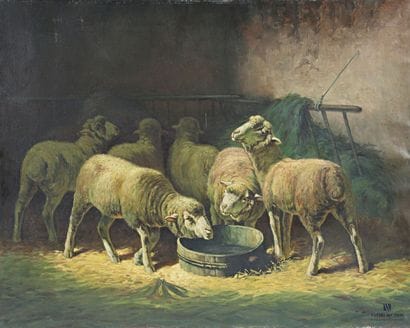 École française du XXème siècle
Moutons dans...