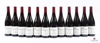 12 bottles MORGON, Jean Foillard vintage...