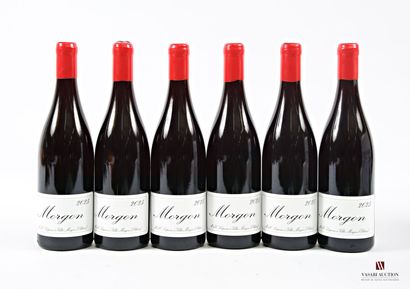 6 bottles MORGON, M & C Lapierre vintage...