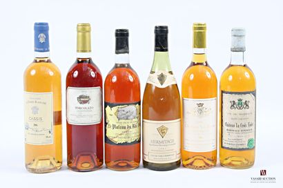 Lot de 6 bouteilles de vins blancs comprenant...