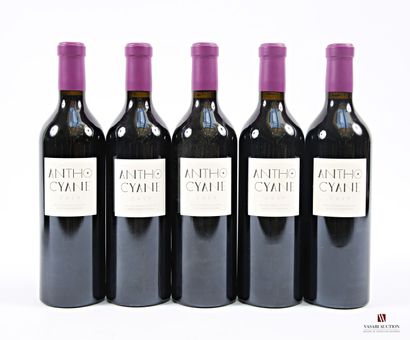 5 bottles FITOU, ANTHO CYANE, Mas des Caprices...