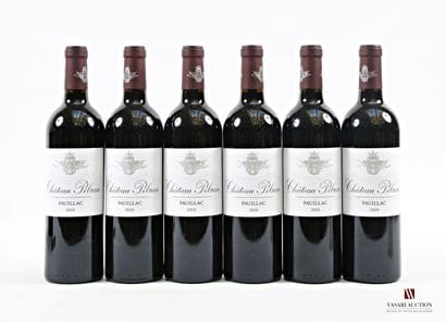 6 bottles Château PIBRAN Pauillac 2020
 Impeccable...