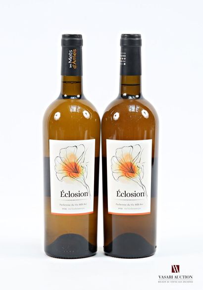 2 bottles Pacherenc du Vic-Bilh Dry, Eclosion...