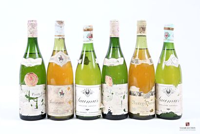 Lot de 6 blles comprenant :		
2 bouteilles	POUILLY...