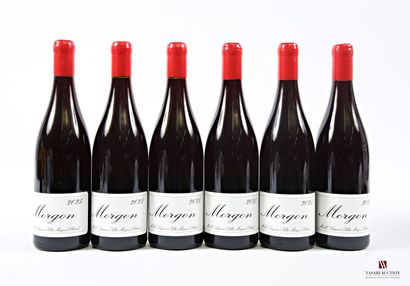 6 bottles MORGON, M & C Lapierre vintage...