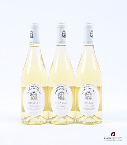3 bottles MUSCAT, Domaine de Terra Vecchia,...