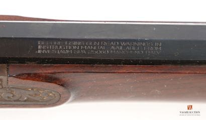 Carabine de précision à percussion INVESTARM...