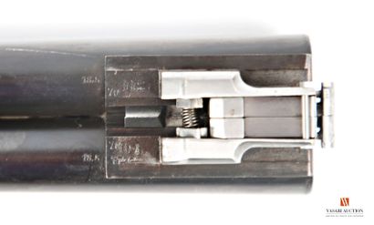 Fusil de chasse Chapuis modèle Progress calibre...