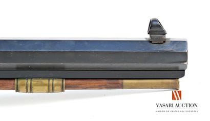 Carabine de précision à percussion INVESTARM...