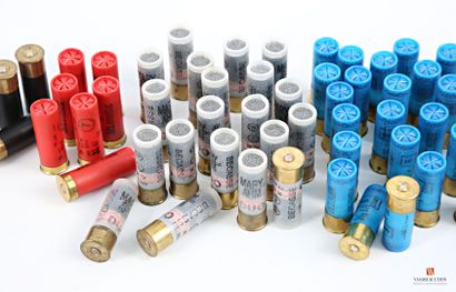 Munitions de catégorie C : 163 cartouches...