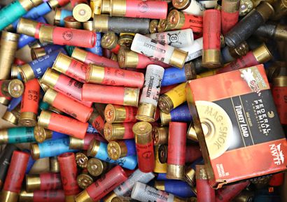 Munitions de catégorie C : 225 cartouches...