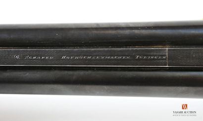 Beau drilling germanique à chiens extérieurs...