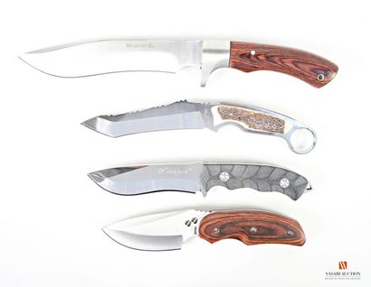 Couteau de chasse Apple Knife, lame de 110...