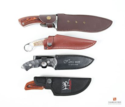 Couteau de chasse Apple Knife, lame de 110...