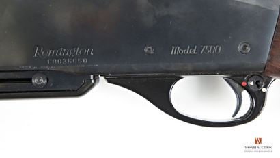 Carabine semi-automatique Remington Model...