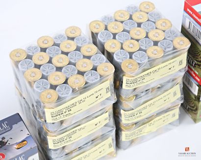 Munitions de catégorie C : 150 cartouches...