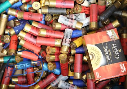 Munitions de catégorie C : 225 cartouches...