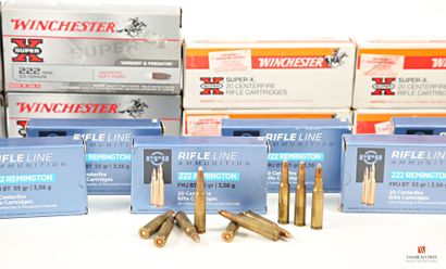 Munitions de catégorie C : 450 cartouches...