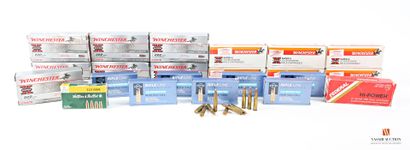 Munitions de catégorie C : 450 cartouches...