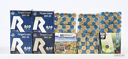 Munitions de catégorie C : 250 cartouches...