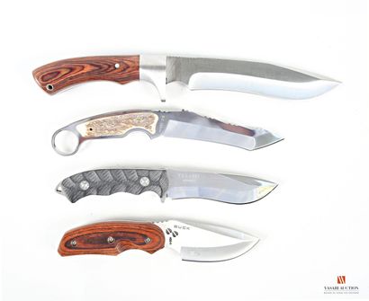 Couteau de chasse Apple Knife, lame de 110...
