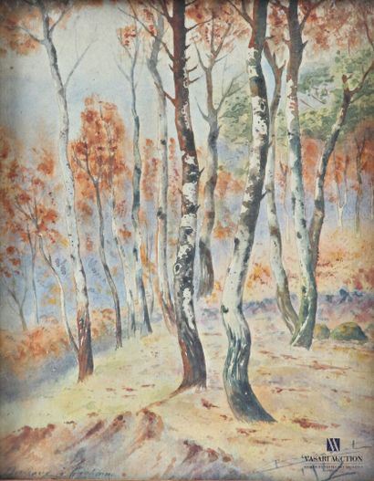 BISCARRAT (20th arrondissement) 
Birch Trees...