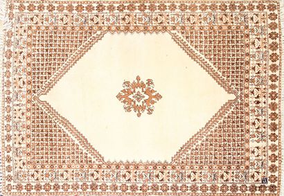 North African rug (warp, weft, and pile made...