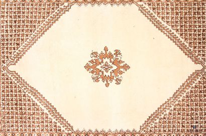 North African rug (warp, weft, and pile made...
