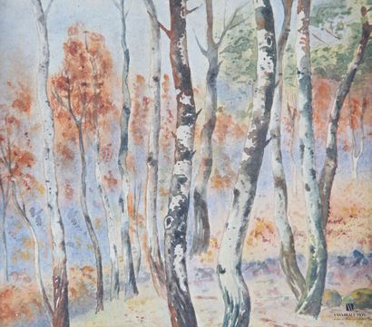 BISCARRAT (20th arrondissement) 
Birch Trees...