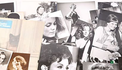 [PHOTOGRAPHY]
A collection of approximately...
