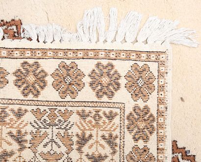 North African rug (warp, weft, and pile made...