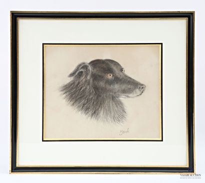 ANONYMOUS 
Study of a dog's head 