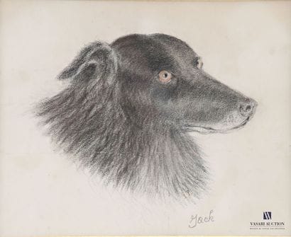 ANONYMOUS 
Study of a dog's head 
