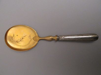Cuillère de service à glace, le manche

en...