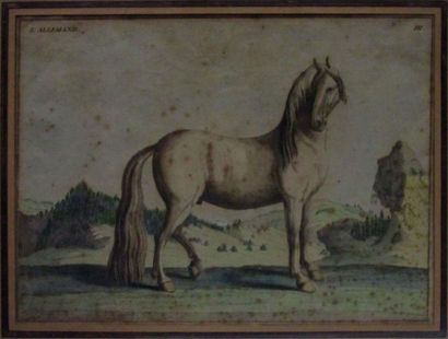 PICART. B L'ALLEMAND graveur

Gravure à l'eau...