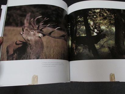 SONNEAU Stéphan. Les quatre saisons du cerf....