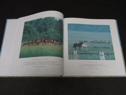 PELOYE Jacques. Carrefours, routes et chemins...