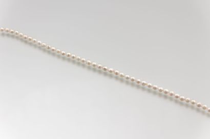 Collier choker de perles dites Akoya. Le

fermoir...