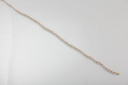 Collier de perles de cultures Akoya de 7-7,5

mm,...