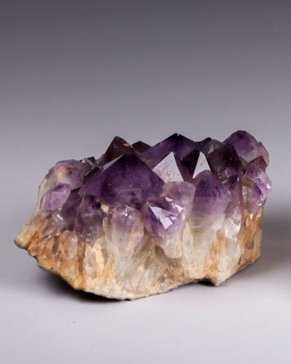 Améthyste brute

Haut. : 14 cm - Larg. :...