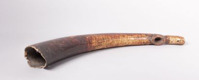 Instrument de musique en ivoire, défense

d’éléphant...