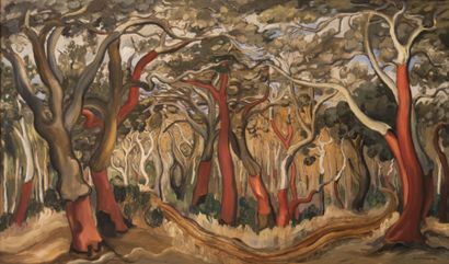 DAUMAS André

Forêt de chênes-lièges

Huile...