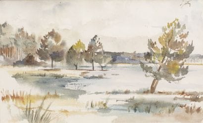 d’ANTY Maurice Henri (1910-1998)

Paysage...