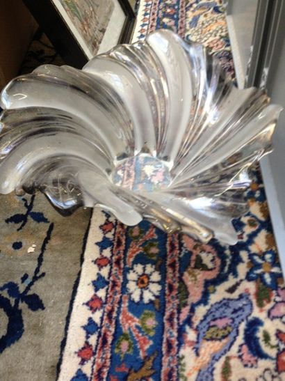 3 cartons de vaiselle, coupe corolle, petits...