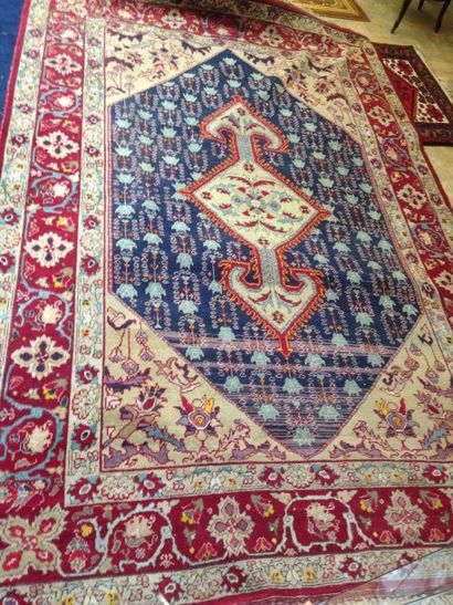 Grand tapis à fond rouge et bleu
3,4 x 2,20...