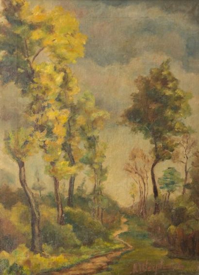 WERPHALDES

Arbres au bord du chemin

Huile...