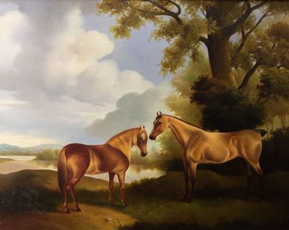 EVANS D;

Chevaux au bord de la clairière

Huile...