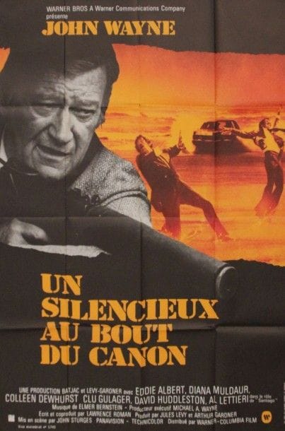 Affiche du film 