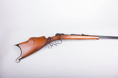 Carabine de tir de précision Friedrich

Alcheler...